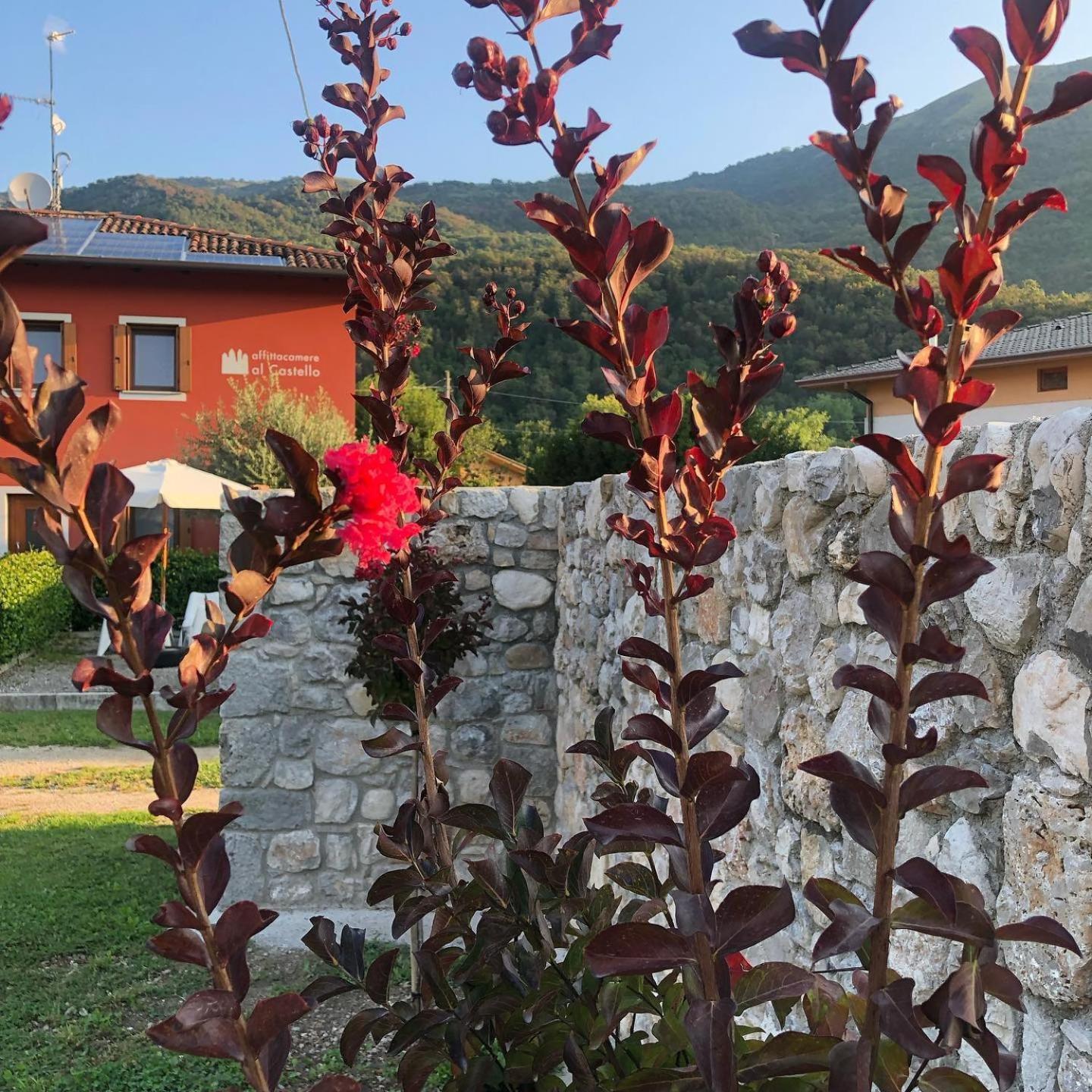 Affittacamere Al Castello Travesio 외부 사진